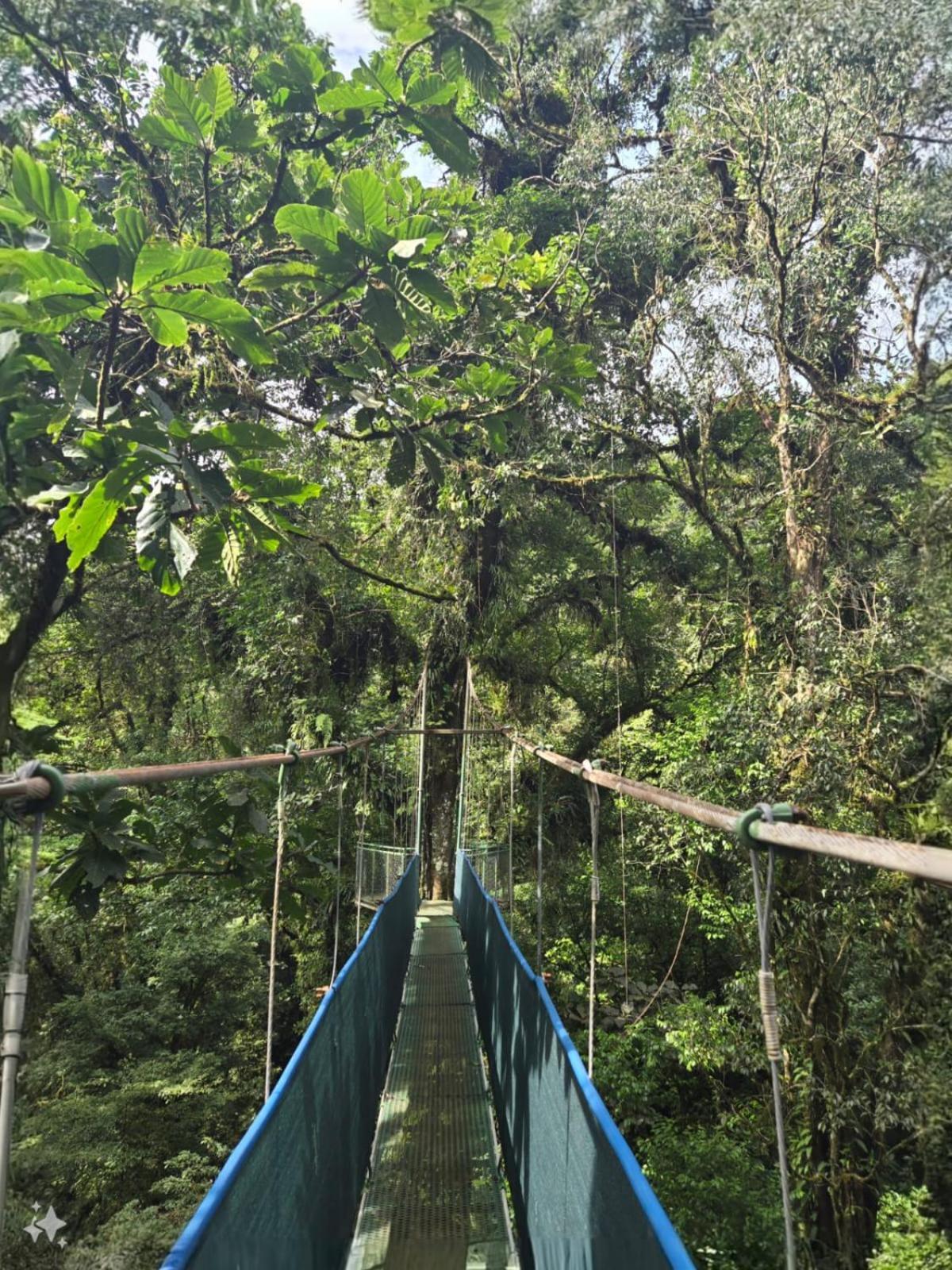 Heliconias Rainforest Lodge 比加瓜 外观 照片