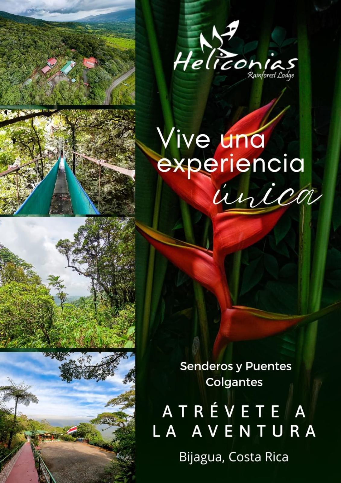 Heliconias Rainforest Lodge 比加瓜 外观 照片