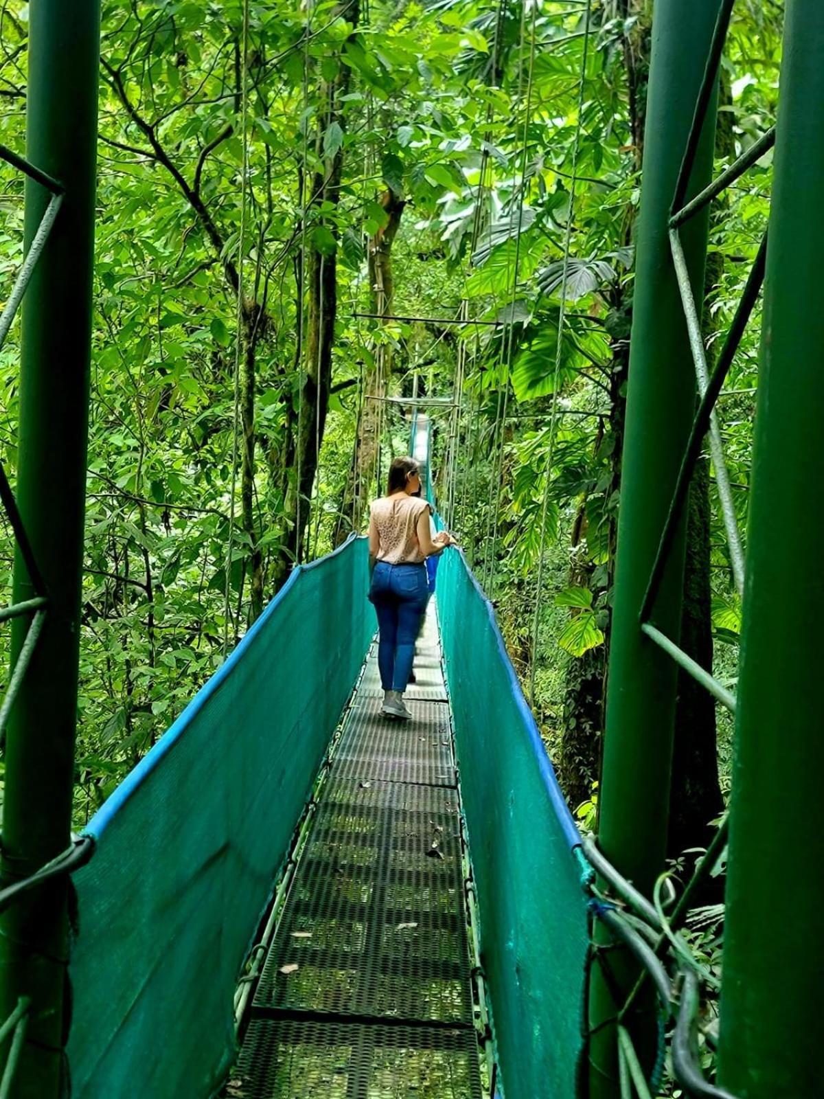 Heliconias Rainforest Lodge 比加瓜 外观 照片