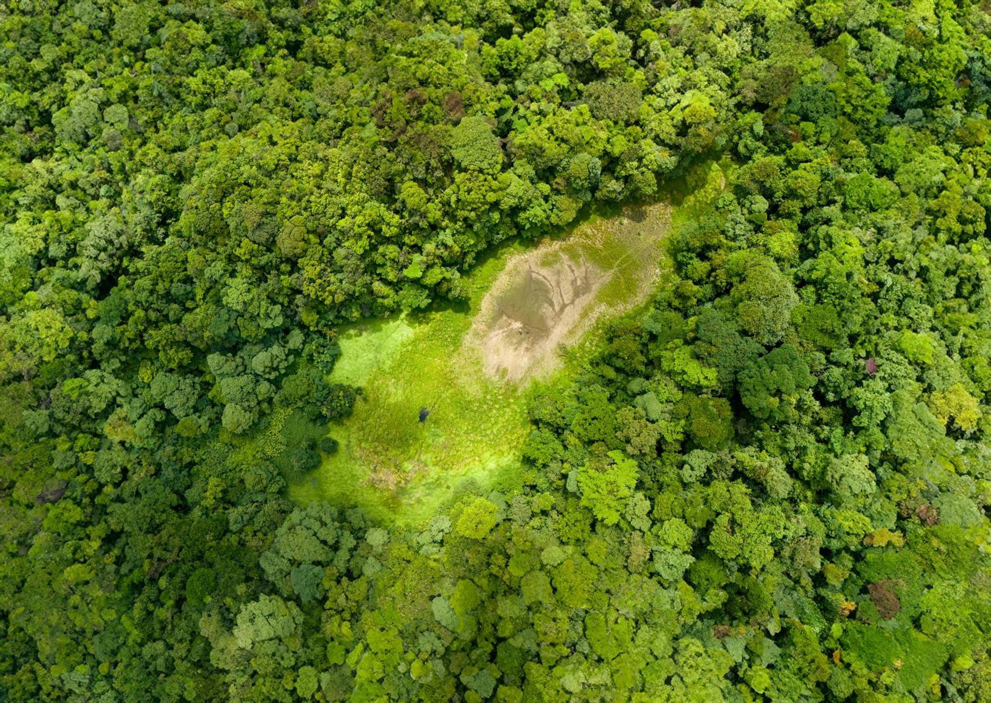 Heliconias Rainforest Lodge 比加瓜 外观 照片