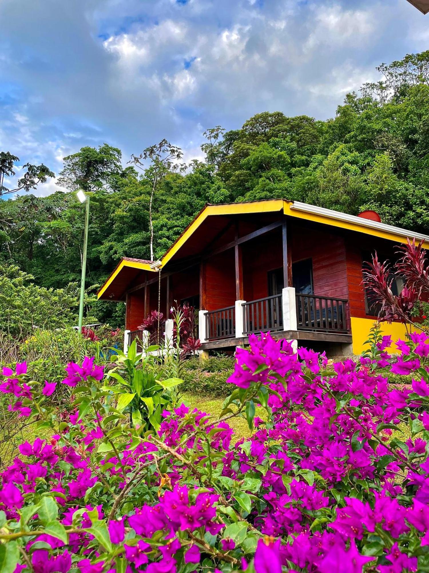 Heliconias Rainforest Lodge 比加瓜 外观 照片