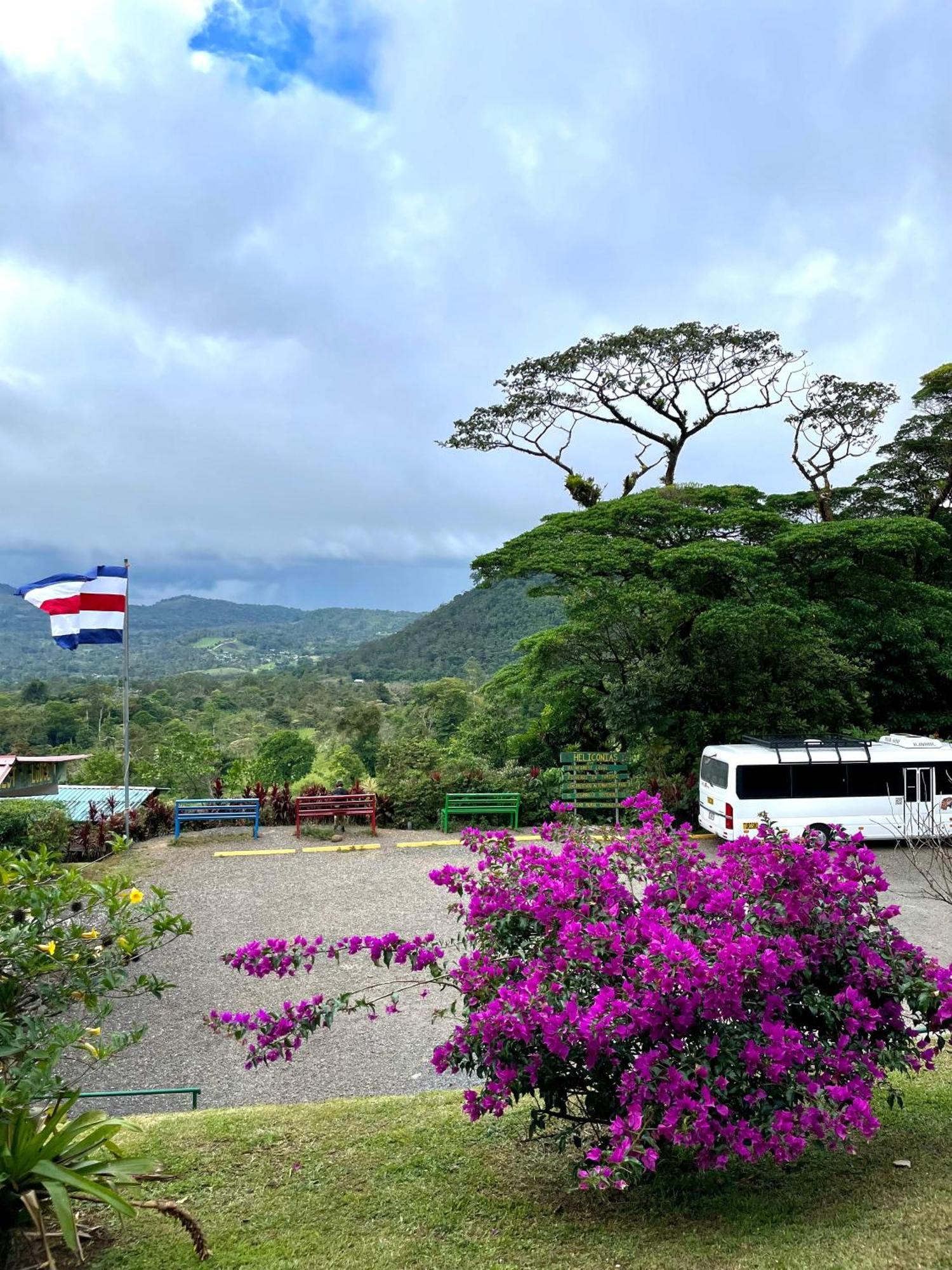 Heliconias Rainforest Lodge 比加瓜 外观 照片