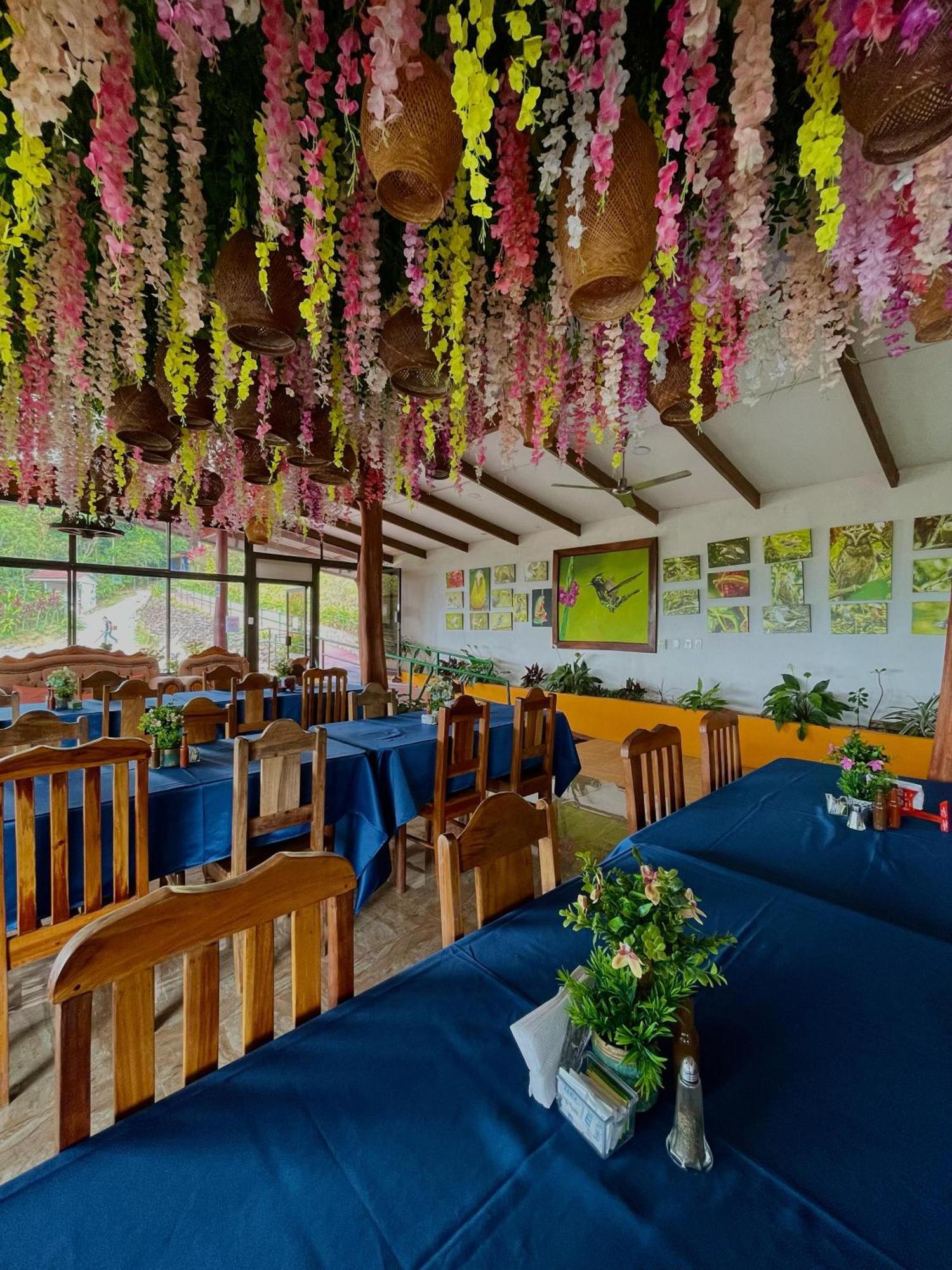 Heliconias Rainforest Lodge 比加瓜 外观 照片