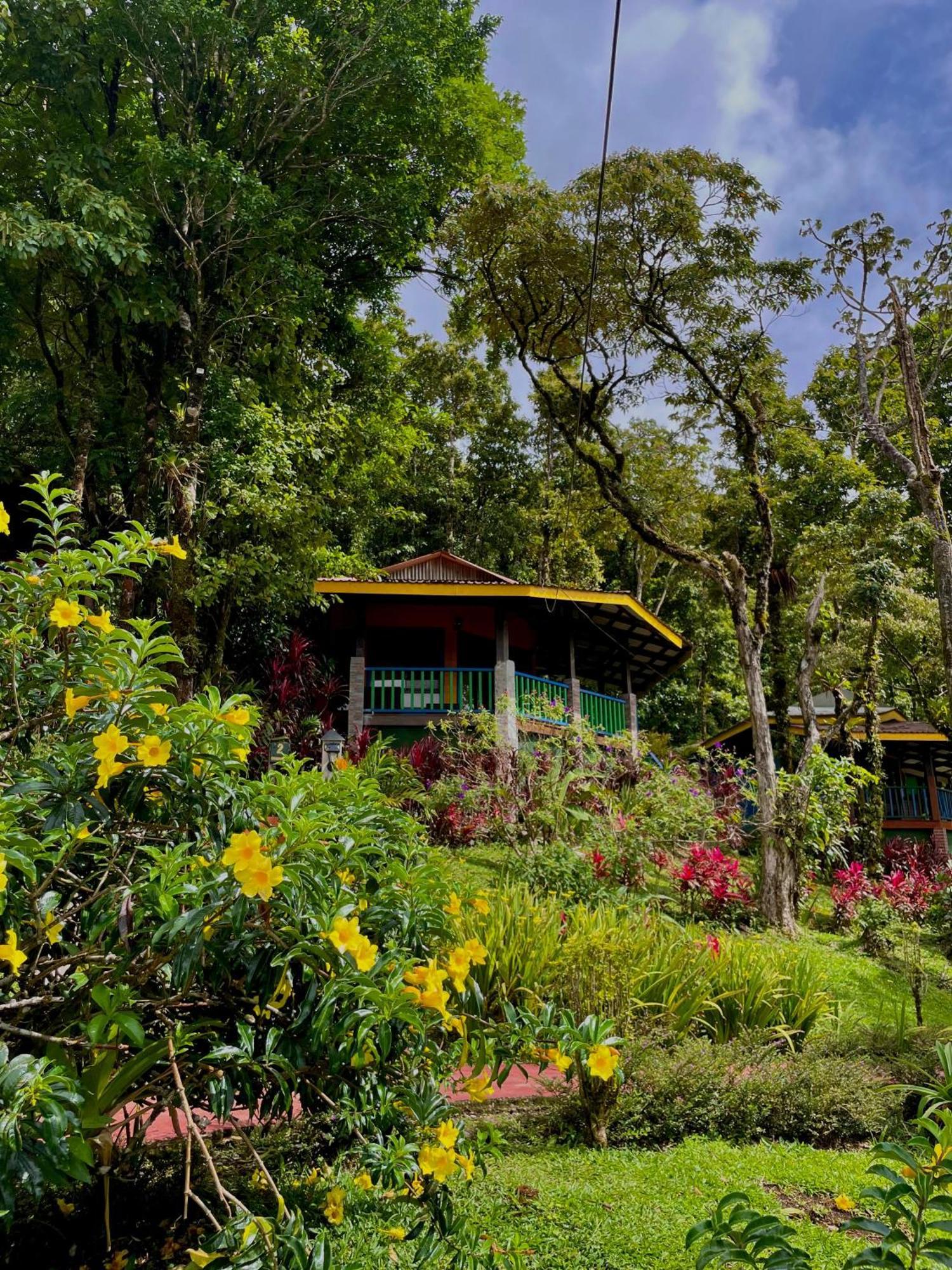 Heliconias Rainforest Lodge 比加瓜 外观 照片