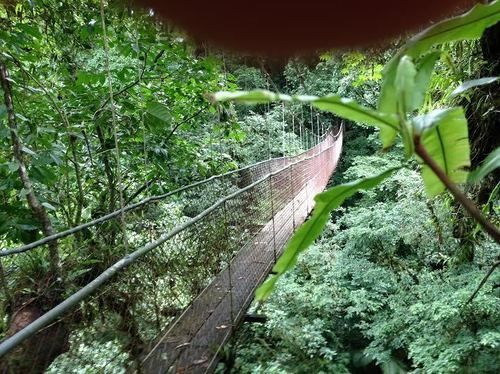 Heliconias Rainforest Lodge 比加瓜 外观 照片