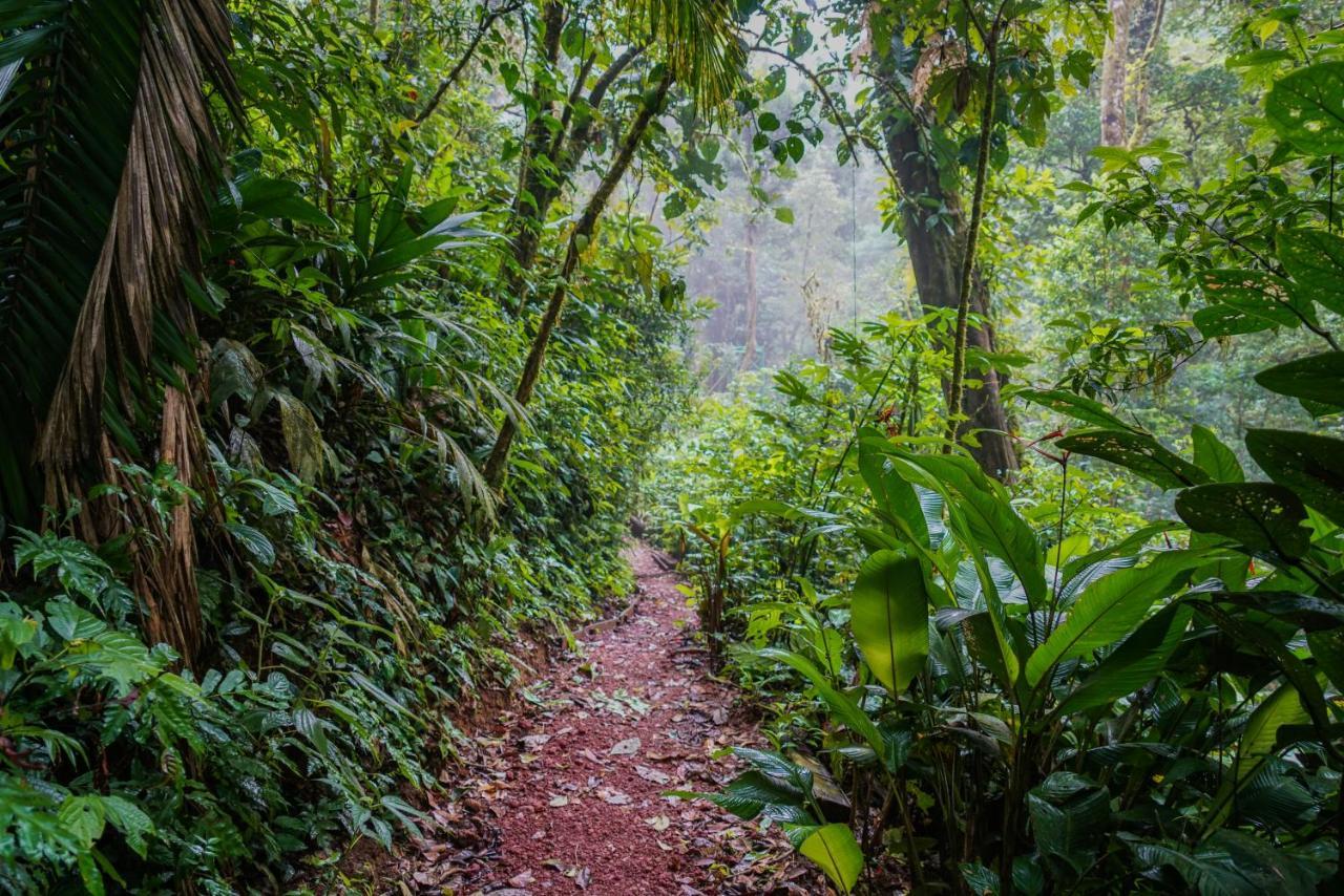 Heliconias Rainforest Lodge 比加瓜 外观 照片